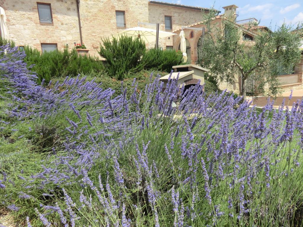 La Pieve Di San Martino Guest House Colle Val D'Elsa Exterior photo